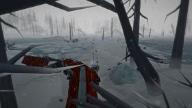 Game The Long Dark for PC