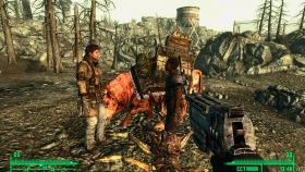 Графика Fallout 3: Game of the Year Edition