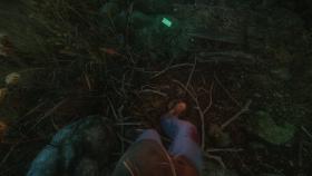 screenshot The Cursed Forest