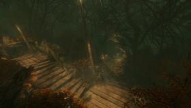 Игра The Cursed Forest на компьютер
