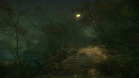 Картинка The Cursed Forest на ПК