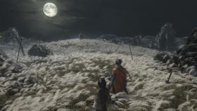 Изображение Sekiro: Shadows Die Twice - GotY Edition