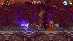 Игра Battle Princess Madelyn на компьютер