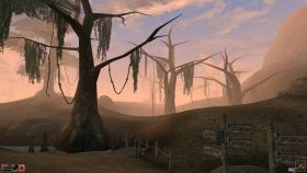 Скриншот из игры The Elder Scrolls III: Morrowind в хорошем качестве