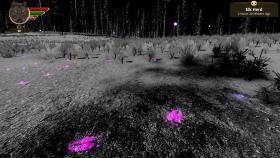 Скриншот из игры WolfQuest: Anniversary Edition в хорошем качестве