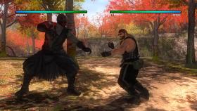 Скриншот из игры Dead or Alive 5: Last Round в хорошем качестве