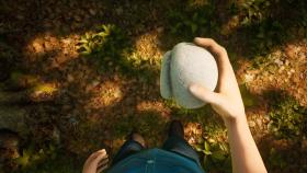 Game Morels: The Hunt for PC