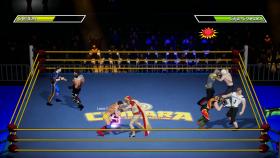 Скриншот из игры CHIKARA: Action Arcade Wrestling в хорошем качестве