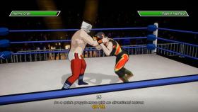 Картинка CHIKARA: Action Arcade Wrestling на ПК