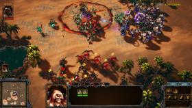 Изображение A Year Of Rain