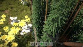 Скриншот из игры Weed Farmer Simulator в хорошем качестве