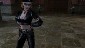 Картинка Return to Castle Wolfenstein на ПК