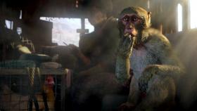 Скриншот из игры Far Cry 4: Gold Edition в хорошем качестве