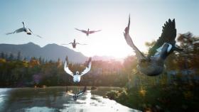 Скриншот из игры Hunting Simulator 2 в хорошем качестве