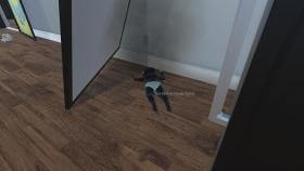 Изображение Who's Your Daddy