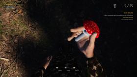 Изображение Mushroom Picker Simulator