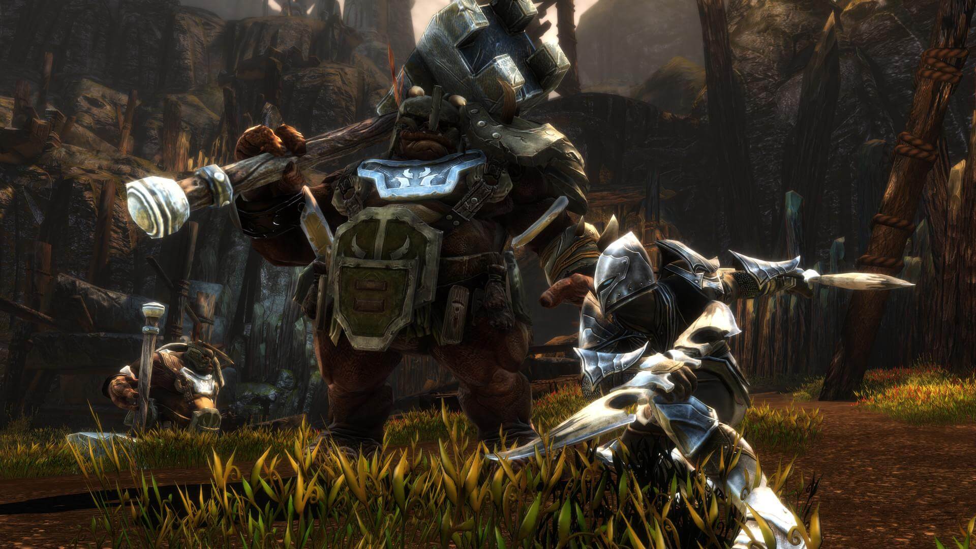 Скачать Kingdoms Of Amalur: Re-Reckoning (Последняя Версия) На ПК.