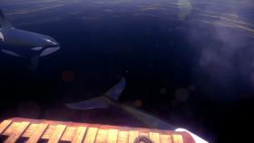 Скриншот из игры Arctic Anxiety в хорошем качестве