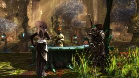 Скриншот из игры Kingdoms of Amalur: Re-Reckoning в хорошем качестве