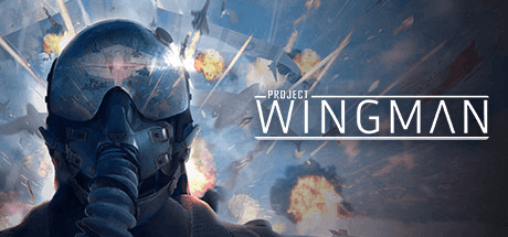 project wingman vx 23 download