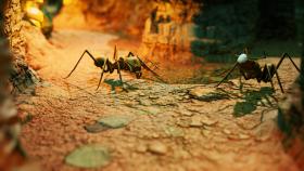 Скриншот из игры Empires of the Undergrowth в хорошем качестве