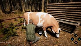 Скриншот из игры Wilderness в хорошем качестве