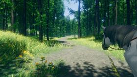 Картинка WanderWoods на ПК