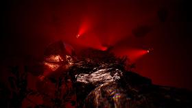 Скриншот из игры The Fabled Woods в хорошем качестве