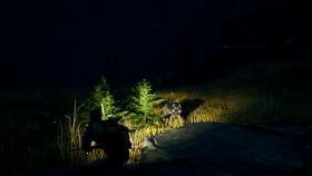 Изображение Open Country