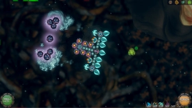 Изображение Sipho