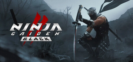 Скачать игру NINJA GAIDEN 2 Black на ПК бесплатно