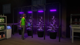 Скриншот из игры Schedule I в хорошем качестве