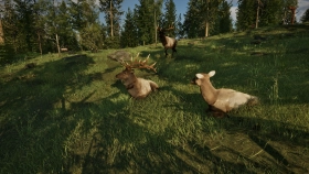 screenshot Ranger’s Path: National Park Simulator